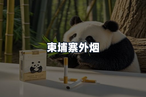柬埔寨外烟